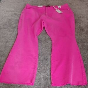 Judy Blue Hot Pink Flare Jeans